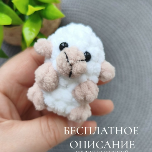 Овечки, козочки. Овечка